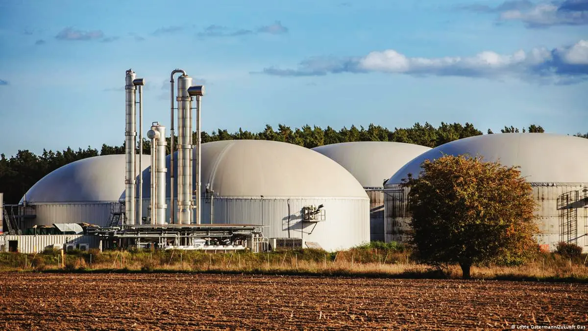 Industry-bioenergy-3