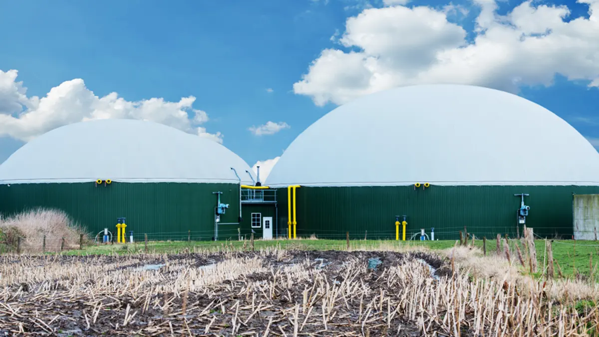 Industry-bioenergy-4