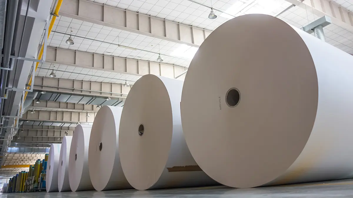 Industry-chemical-paper pulp-5