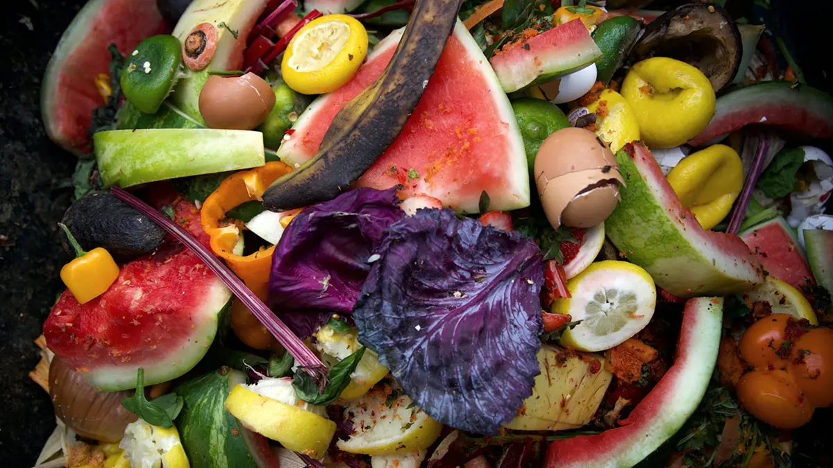 Industry-organic-waste-soild-1