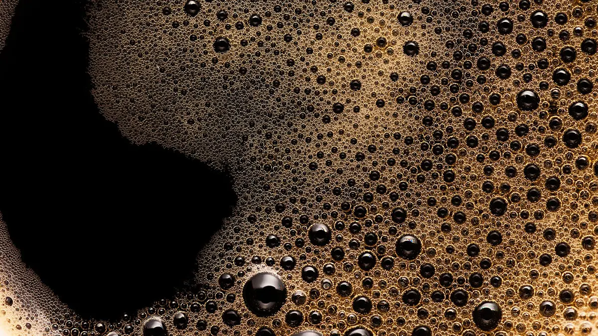 gem-fermentation-1