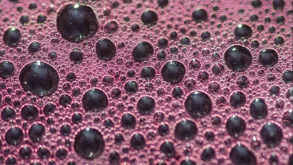 gem-fermentation-4
