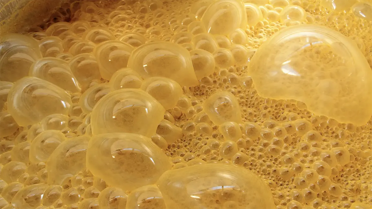 gem-fermentation-5