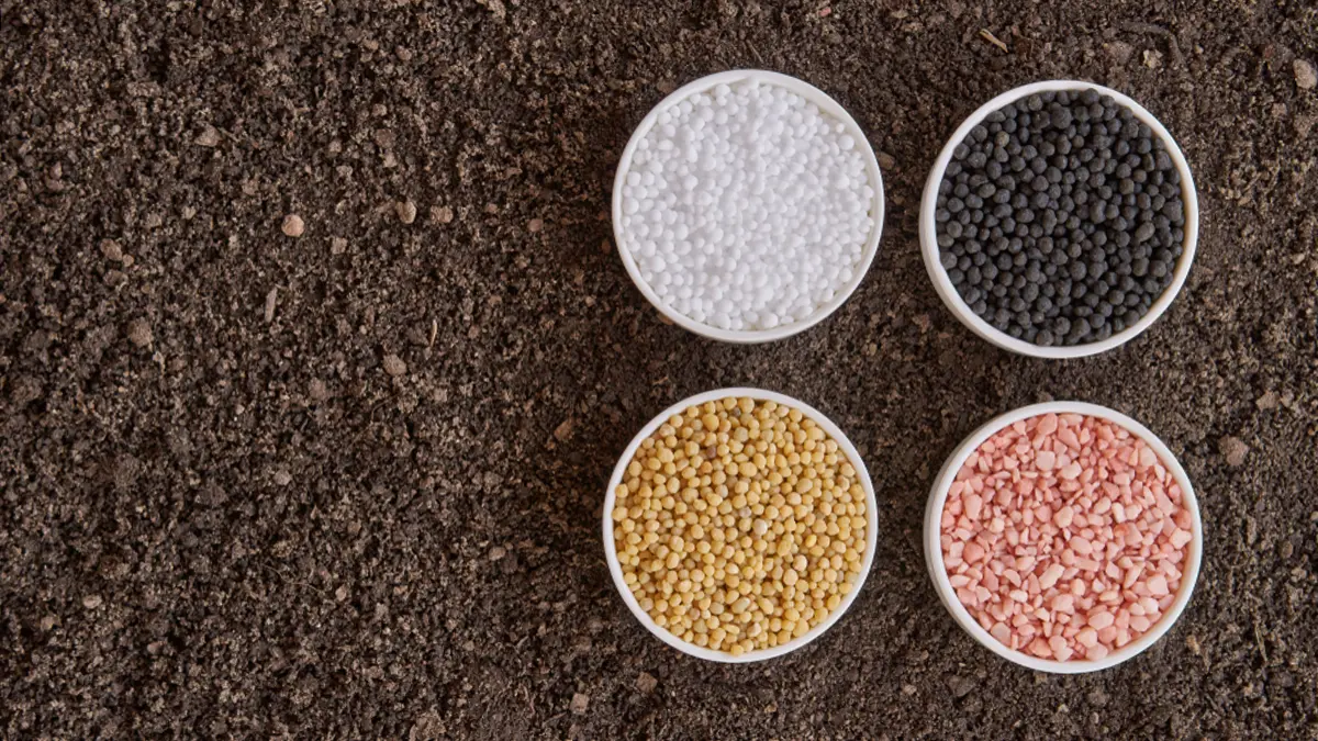 gem-fertilizer-11