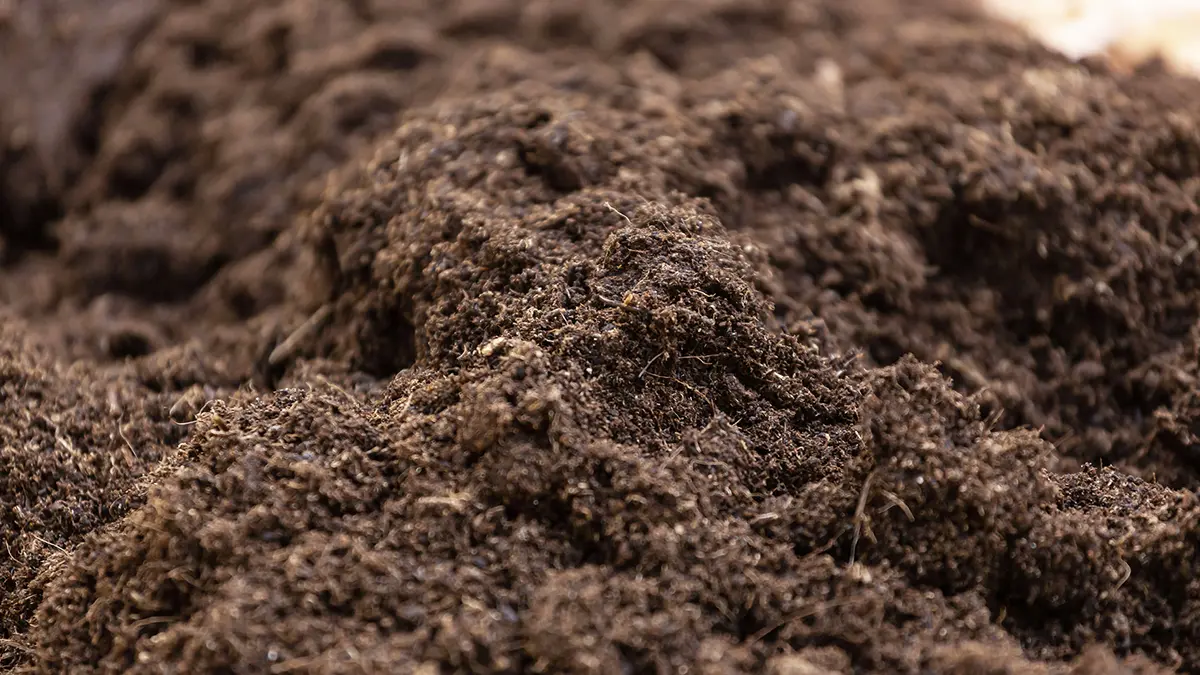 gem-fertilizer-3