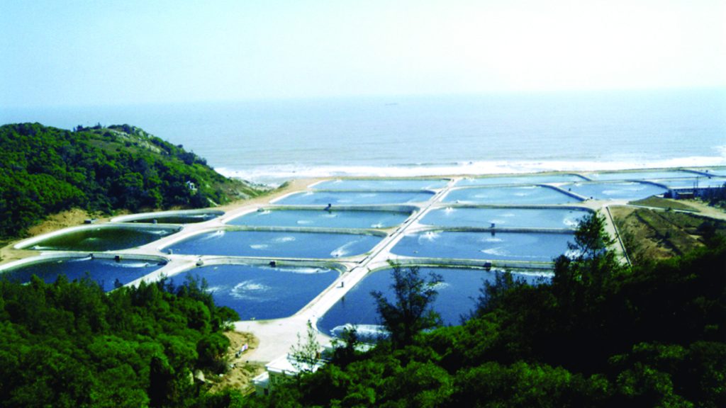Aquaculture microbiome management for fish and shrimp farming, water quality stability, pond bottom microbiomes, gut microbiota, and pathogen pressure management.