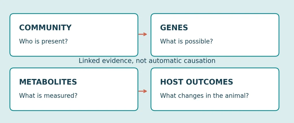 Four distinct evidence layers in animal microbiome research