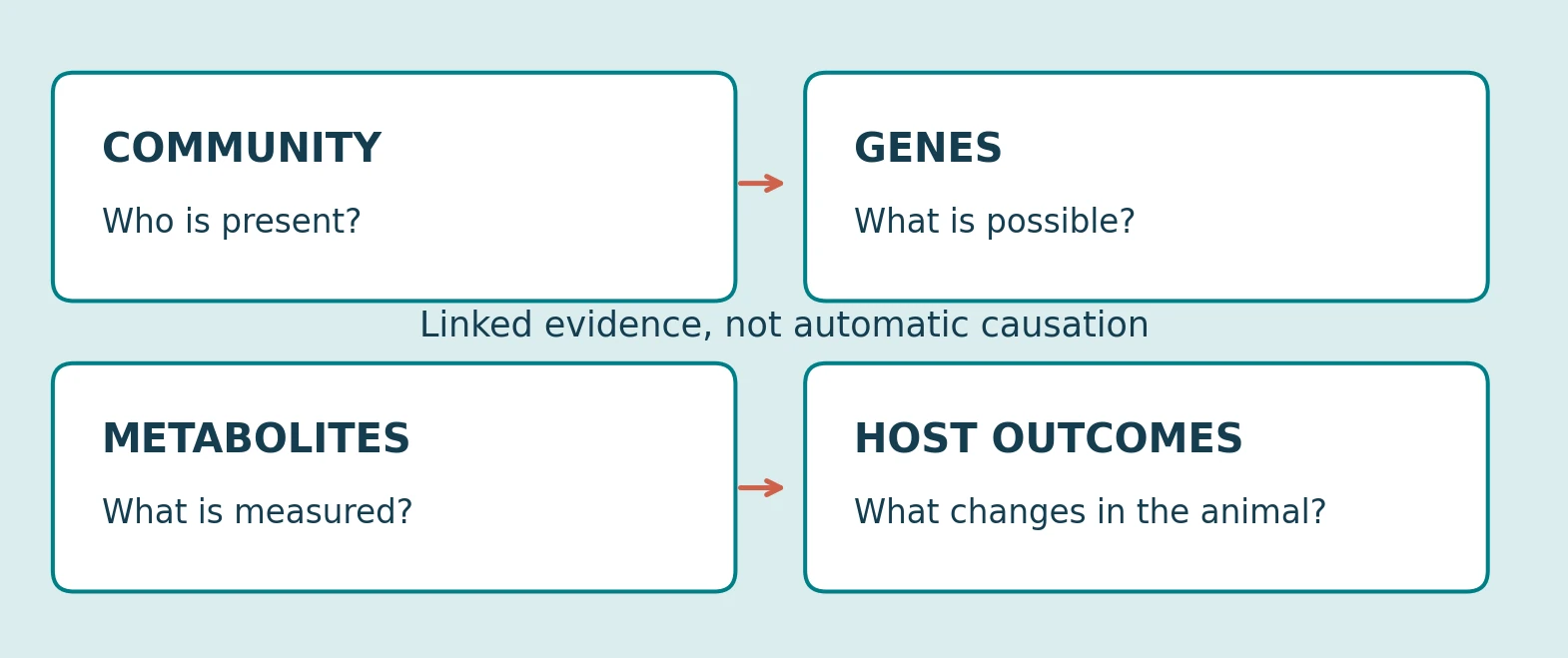 Four distinct evidence layers in animal microbiome research
