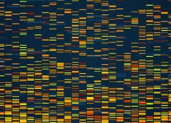 GEM(genetic engineering microbiome)-Bioinformatic-DNA-infographic-chromosome-chart