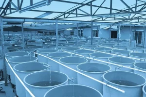 RAS(Recirculating Aquaculture System) AES