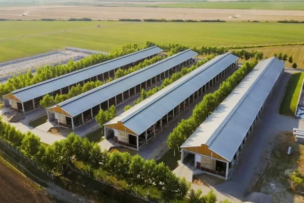 Livestock Farming AES
