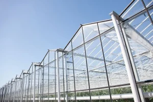 Greenhouse AES