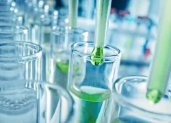 GEM(genetic engineering microbiome)-Lab-pipette-gun-v1