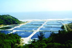 Large-scale Aquaculture AES